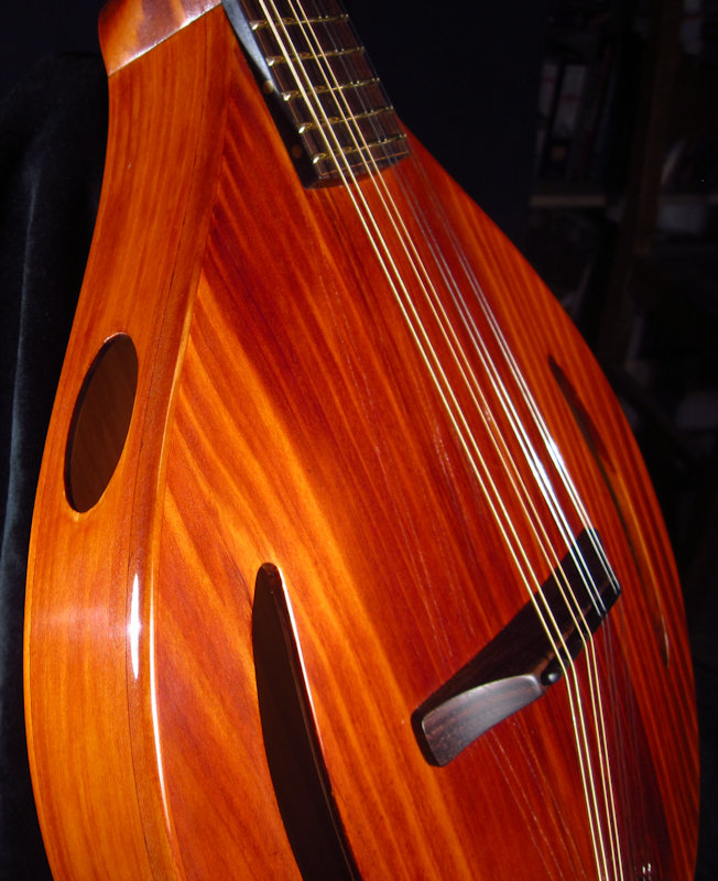 laughlin all douglas fir mandolin